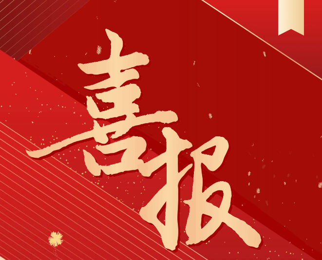 喜報(bào)！我院師生在2024一帶一路暨金磚國家技能發(fā)展與技術(shù)創(chuàng)新大賽中榮獲佳績