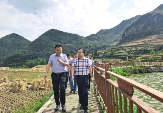 畢節(jié)工業(yè)職業(yè)技術(shù)學(xué)院黨委書記李涌、院長邱國援率隊(duì)到鄉(xiāng)村振興駐村聯(lián)系工作點(diǎn)調(diào)研